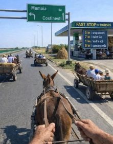De Buna Vestire suntem amenintati ca vom avea parte de prosperitate Se efectueaza platile pentru motorina de anul trecut agricultorilor