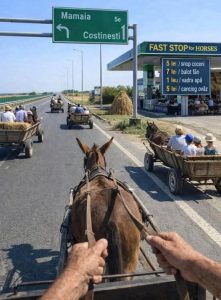 De Buna Vestire suntem amenintati ca vom avea parte de prosperitate Se efectueaza platile pentru motorina de anul trecut agricultorilor