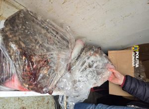 Politistii au confiscat 133 kg de peste prins prin pescuit electric depozitat in conditii necorespunzatoare