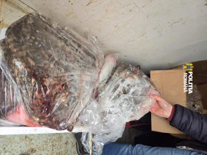 Politistii au confiscat 133 kg de peste prins prin pescuit electric depozitat in conditii necorespunzatoare