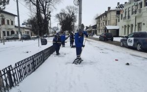 brai cata va continua sa ofere servicii de calitate pentru calarasi se propune delegarea gestionarii unei parti a serviciului de salubrizare