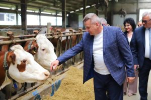 Samoila Ion PSD Calarasi Statul roman impiedica crescatorii de ovine iar ciobanii sunt lasati fara optini