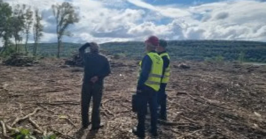 ITM Călărași verifică plantațiile agricole și forestiere. Motivul controalelor