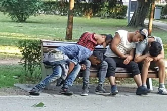 Liberalii se opun pedepsirii consumului și deținerii de droguri ca fapte contravenționale