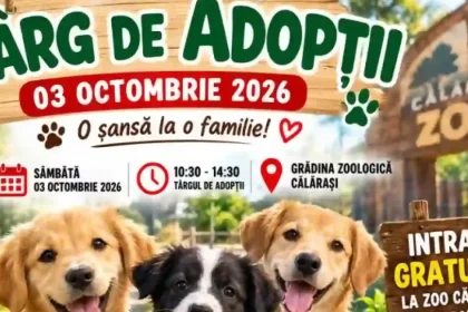 Târg de adopții pentru căței la Zoo Călărași, intrare gratuită sâmbătă, 3 octombrie